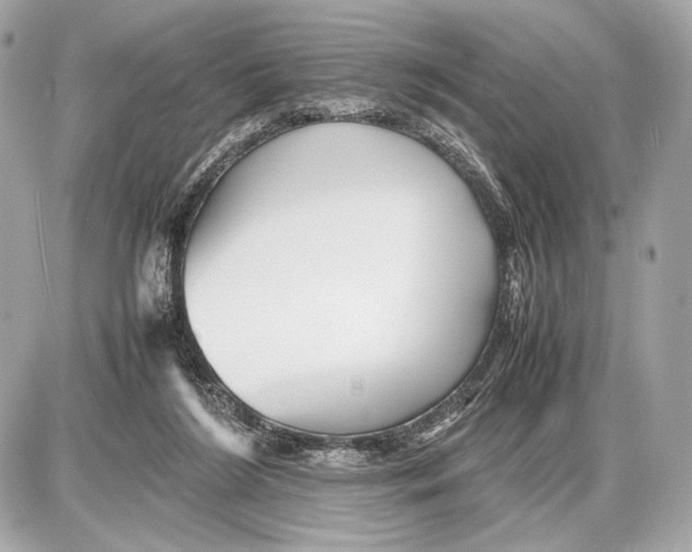 X0000085830212200704091706