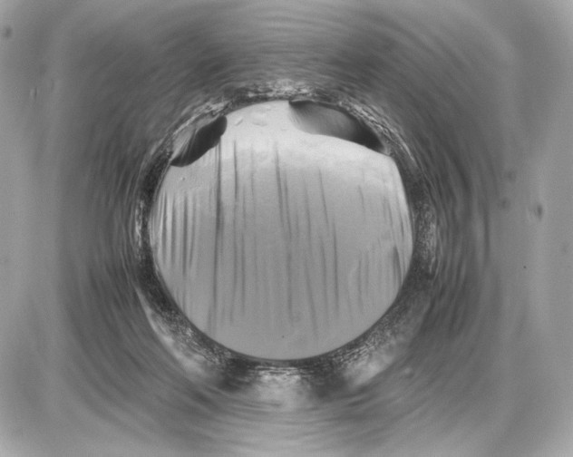X0000085830214200704091706