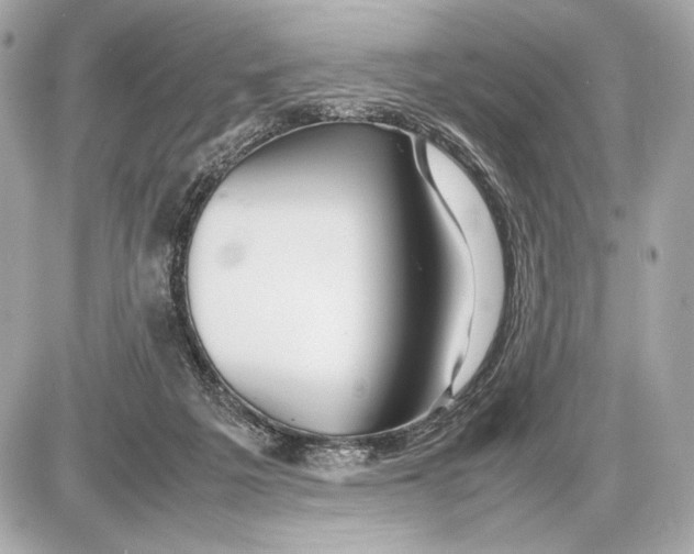 X0000085830217200704091706