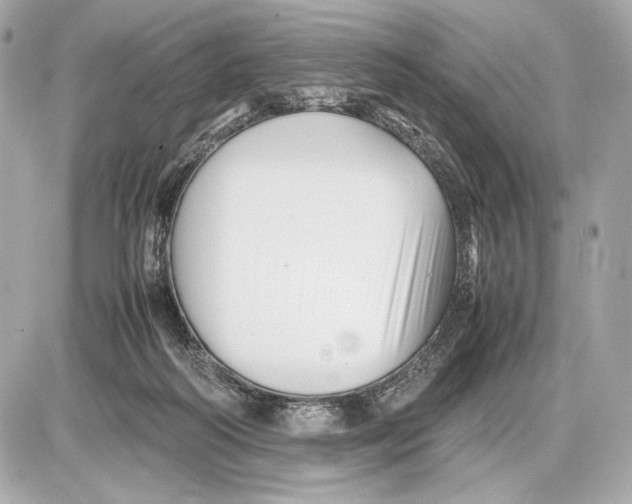 X0000085830218200704091706