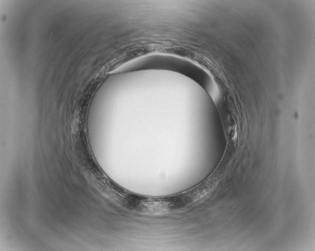 X0000085830221200704091706