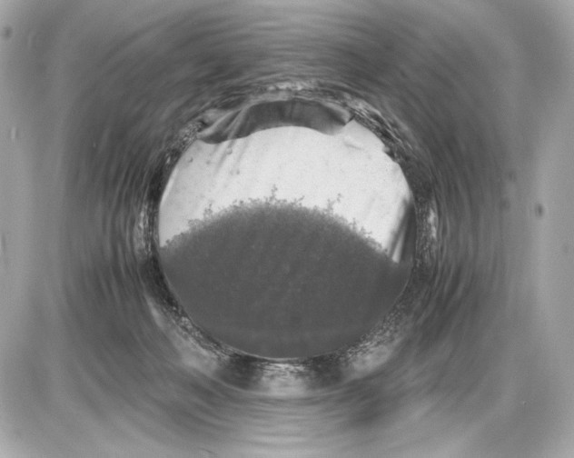 X0000085830222200704091706