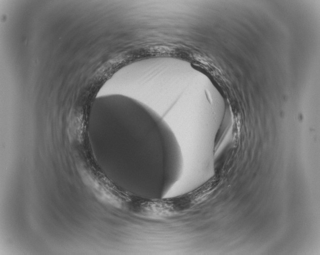 X0000085830223200704091706