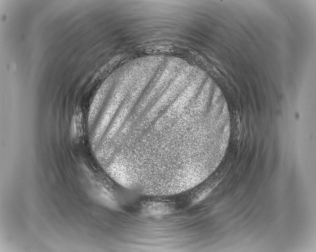 X0000085830224200704091706