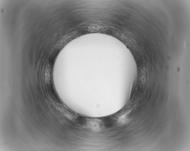 X0000085830226200704091706