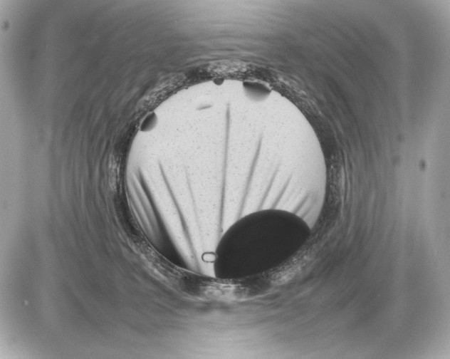 X0000085830227200704091706