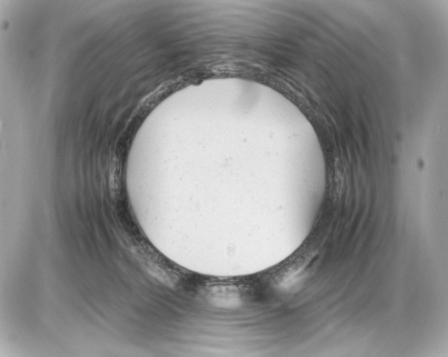 X0000085830228200704091706