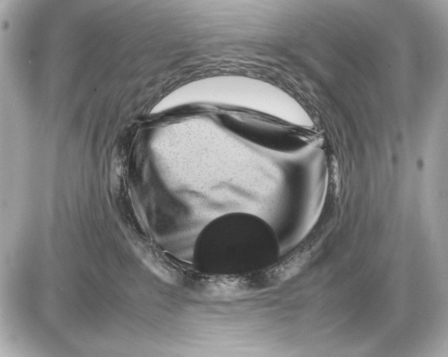X0000085830235200704091706