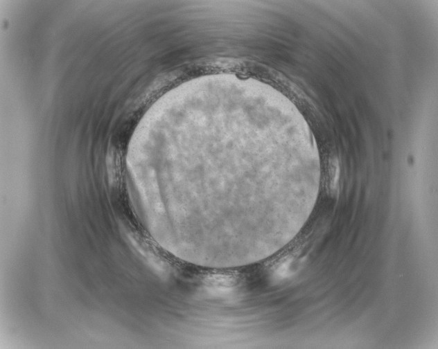 X0000085830236200704091706