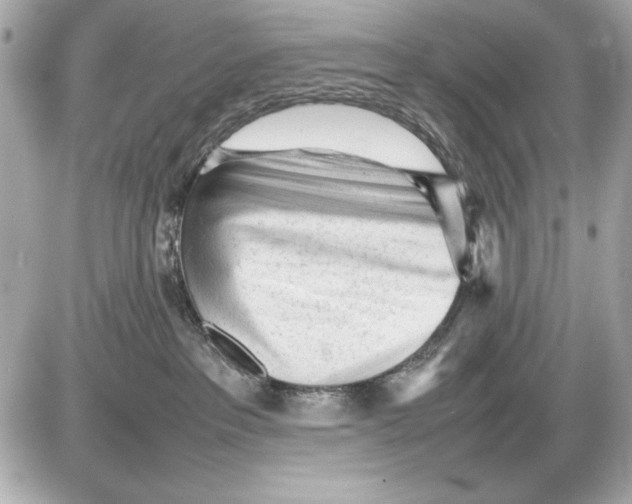 X0000085830237200704091706