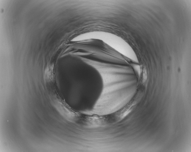 X0000085830239200704091706