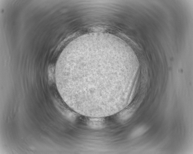 X0000085830240200704091706