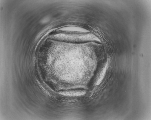 X0000085830243200704091705