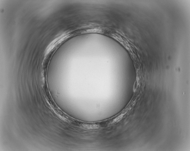 X0000085830245200704091705
