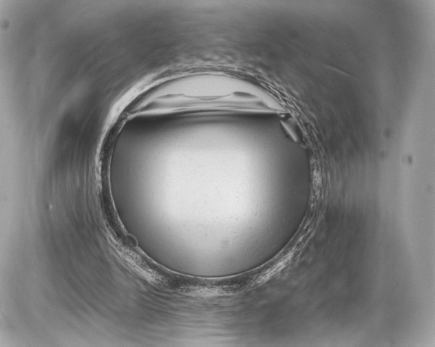 X0000085830246200704091705