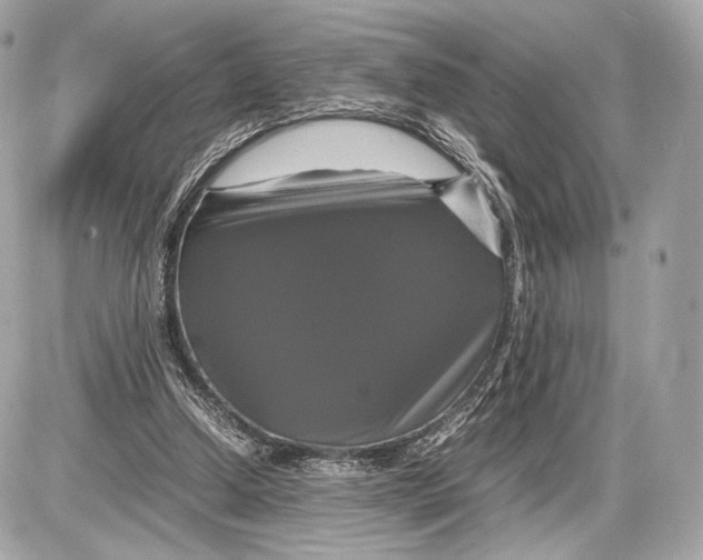 X0000085830250200704091705