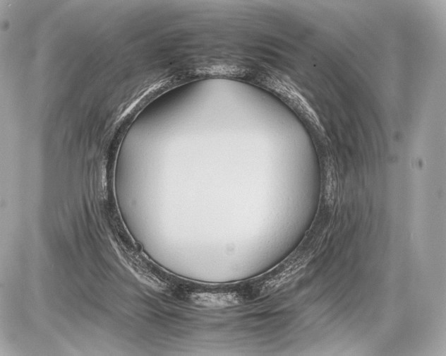 X0000085830251200704091705