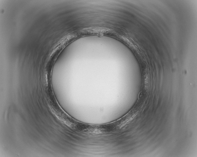 X0000085830254200704091705