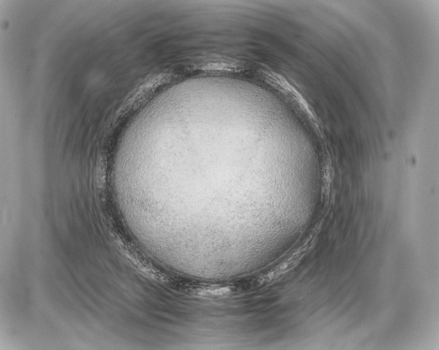 X0000085830257200704091705