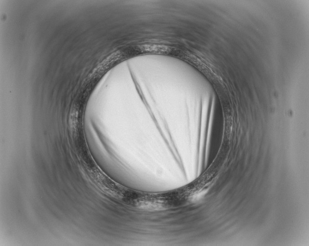 X0000085830263200704091705