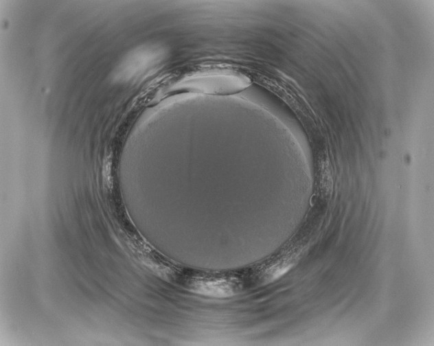 X0000085830267200704091705