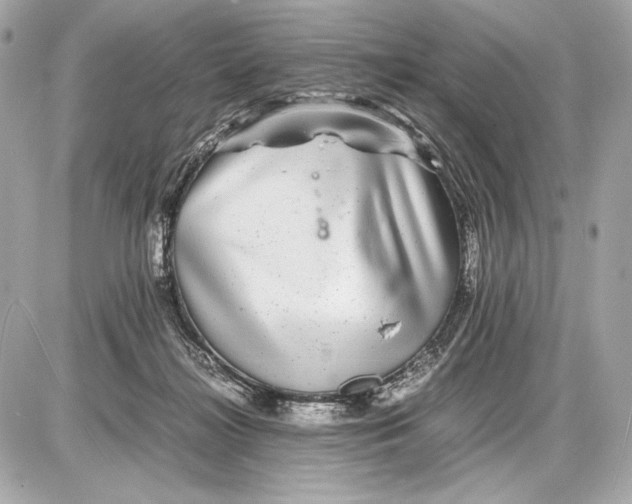 X0000085830268200704091705