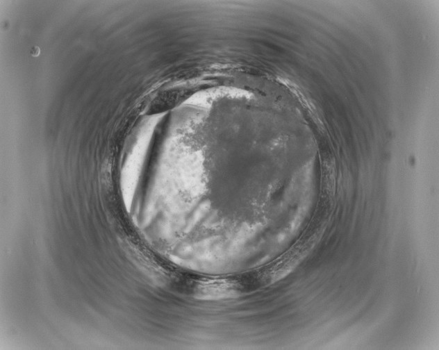 X0000085830269200704091705