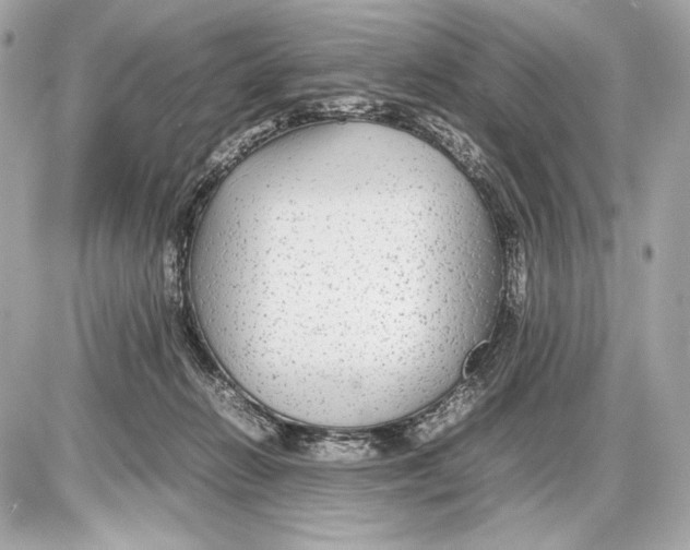 X0000085830270200704091705