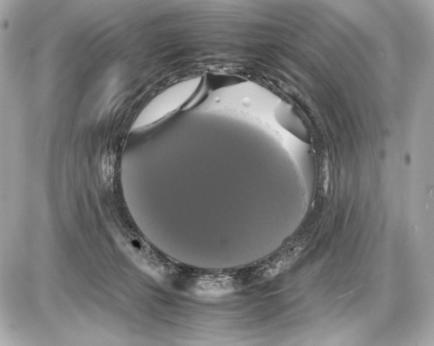 X0000085830271200704091705