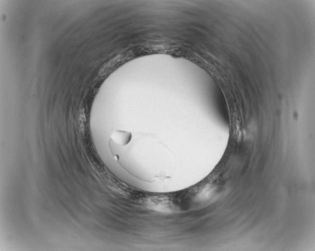 X0000085830279200704091705