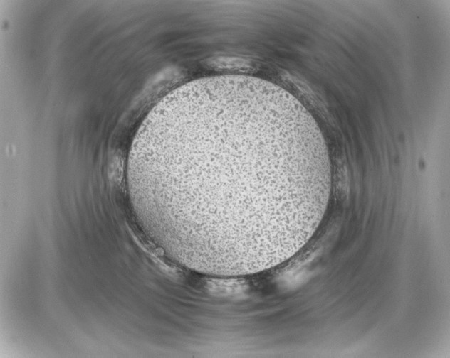 X0000085830281200704091706