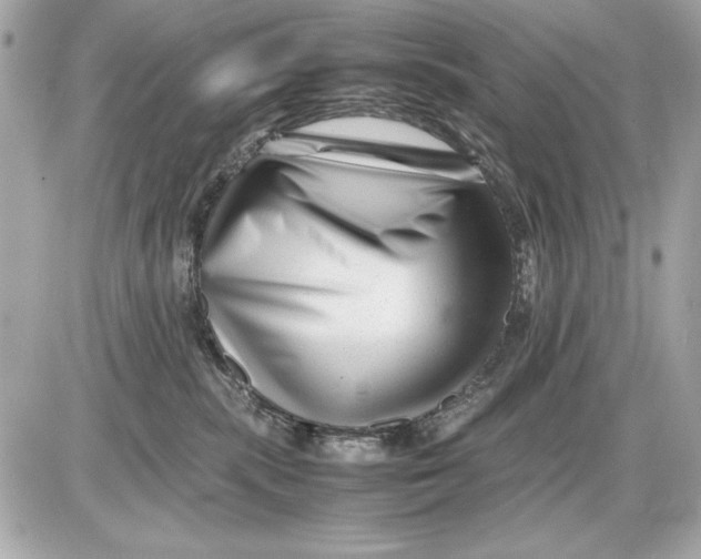 X0000085830283200704091706