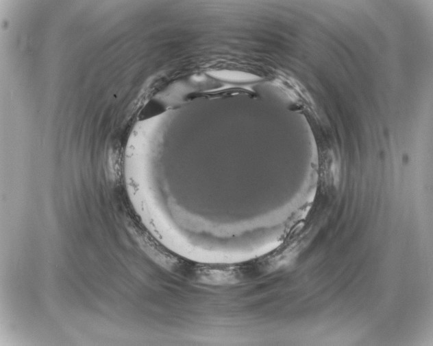 X0000085830285200704091706