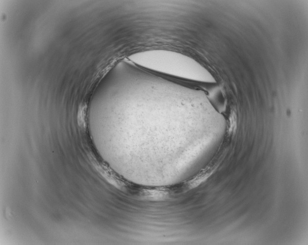 X0000085830286200704091706