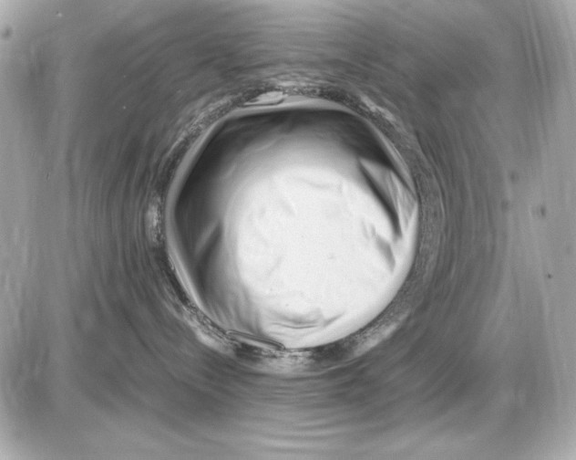X0000085830288200704091706