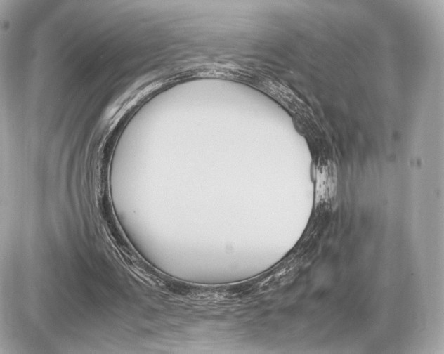 X0000085830291200704091705