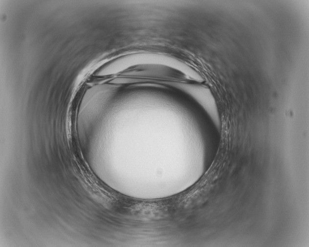 X0000085830294200704091705