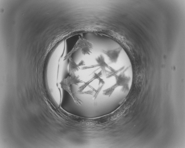 X0000085830299200704091705