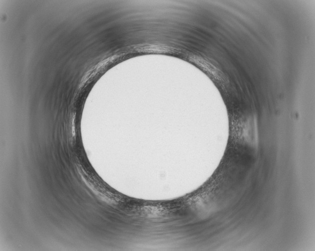 X0000085830302200704091705