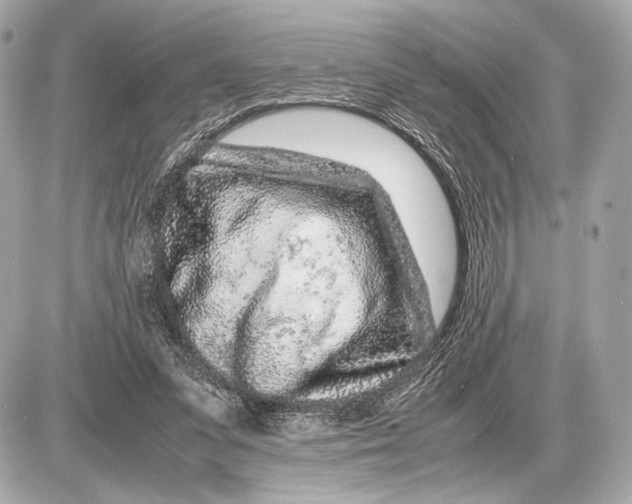 X0000085830303200704091705