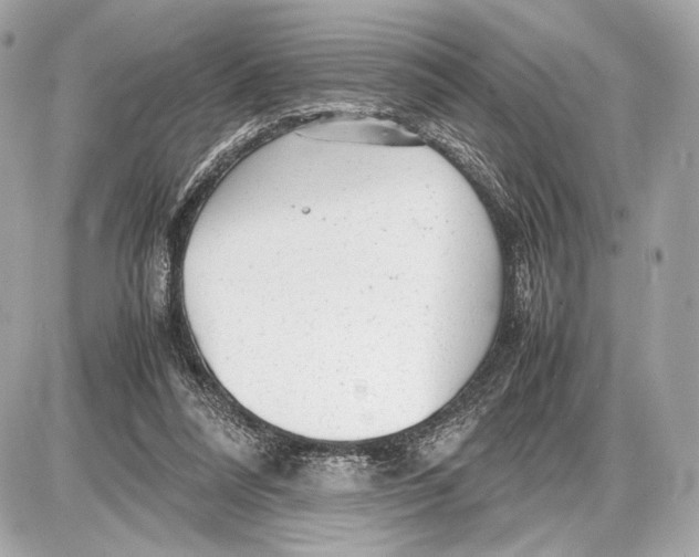 X0000085830304200704091705