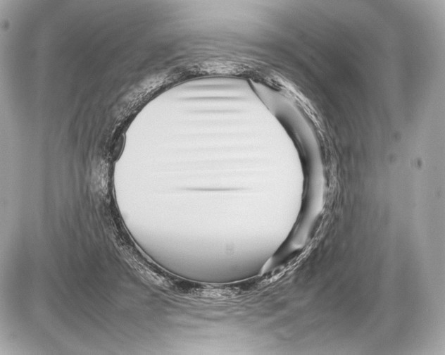 X0000085830305200704091705