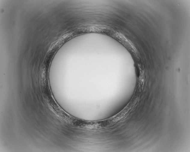 X0000085830306200704091705
