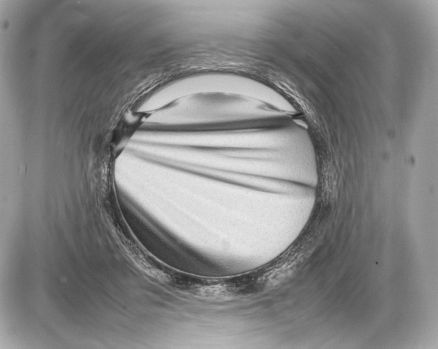 X0000085830309200704091704