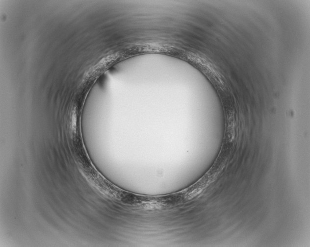 X0000085830310200704091704