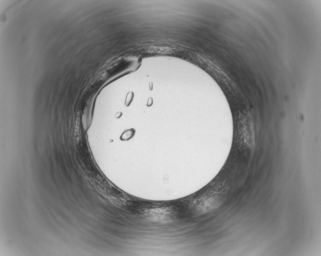 X0000085830312200704091704