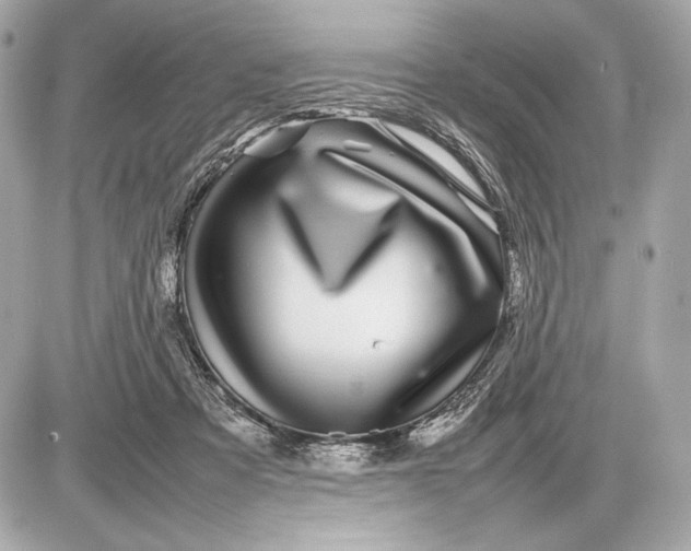 X0000085830313200704091704