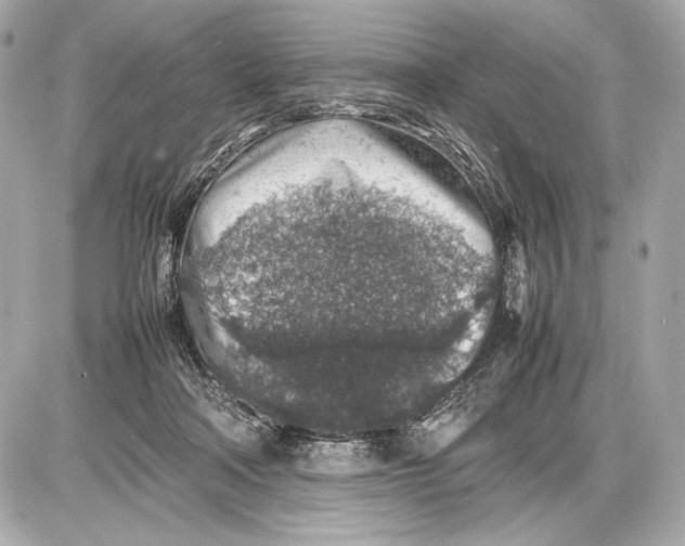 X0000085830314200704091704