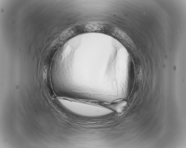 X0000085830315200704091704