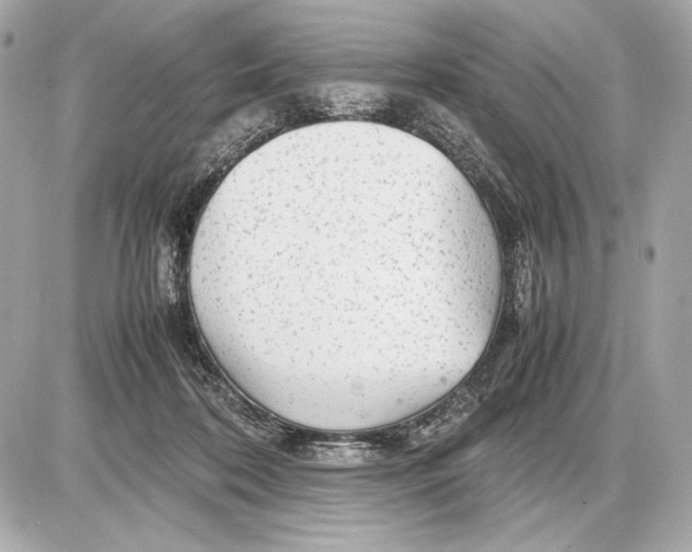 X0000085830316200704091704